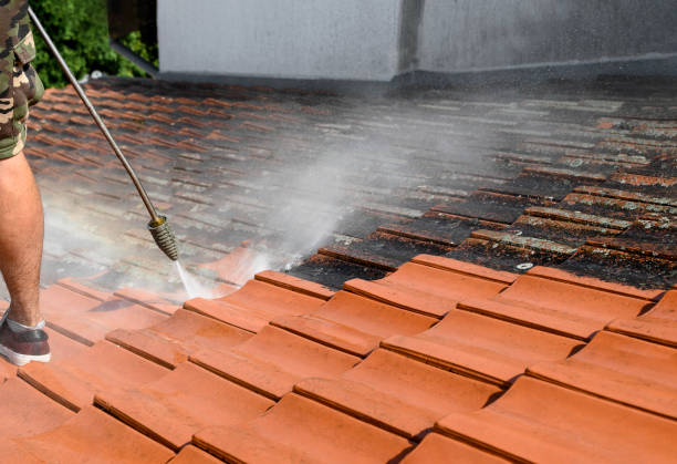 Why Choose Our Certified Pressure Washing Experts for Your Project Needs in Warrenton, VA?